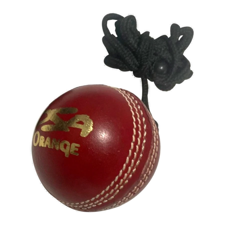 Leather Hanging Training Cricket Ball (6789269291060)