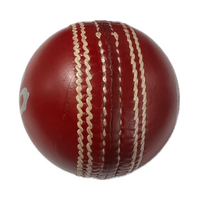 Cricket Practice Ball