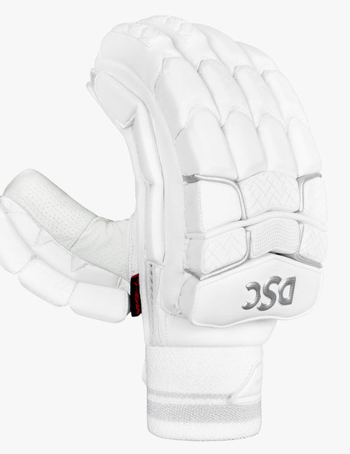 Load image into Gallery viewer, DSC Xlite L.E Batting Gloves New 2024
