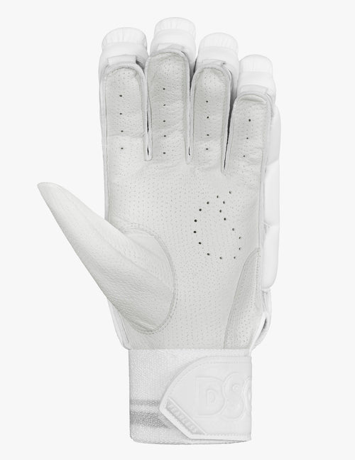 Load image into Gallery viewer, DSC Xlite L.E Batting Gloves New 2024
