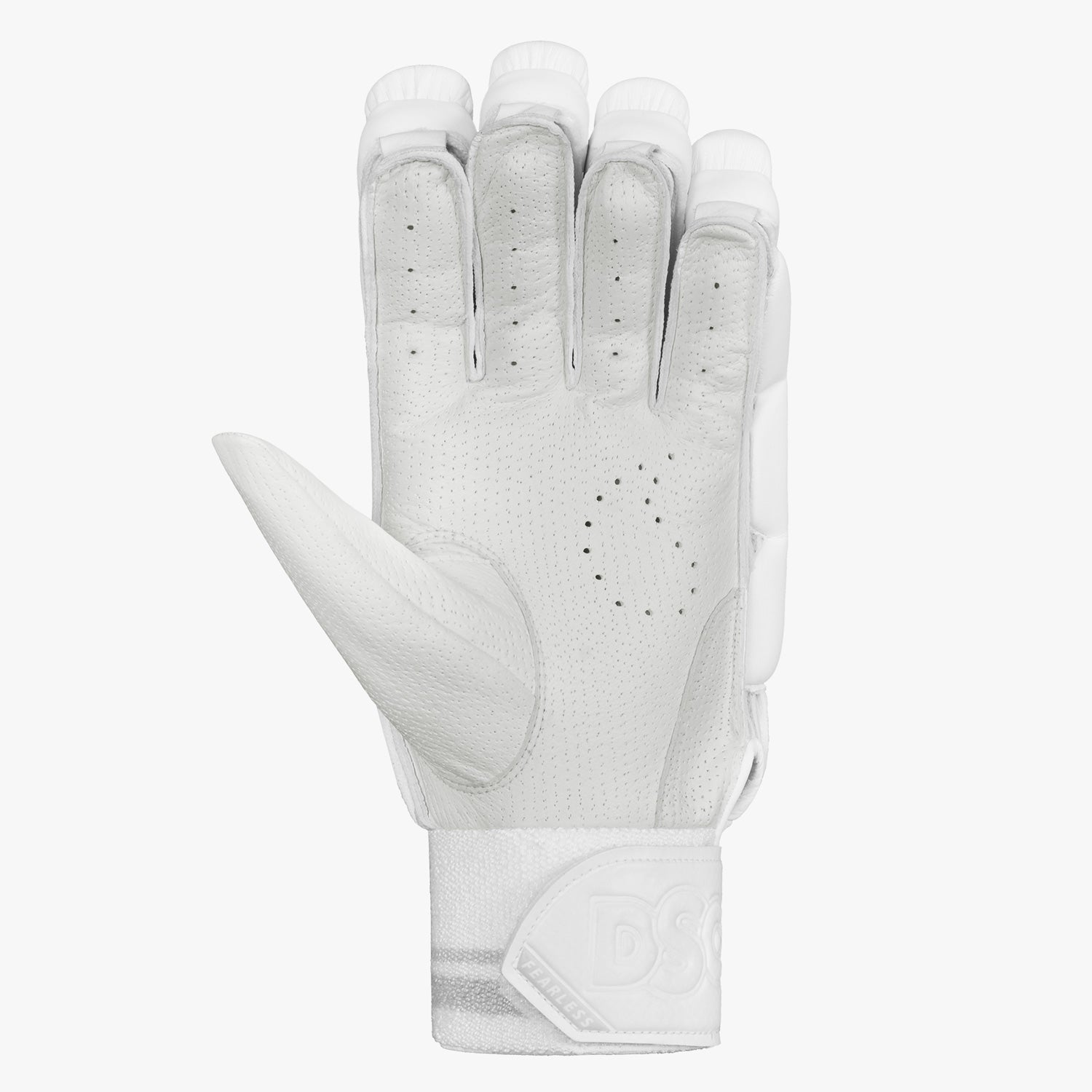 DSC Xlite L.E Batting Gloves New 2024