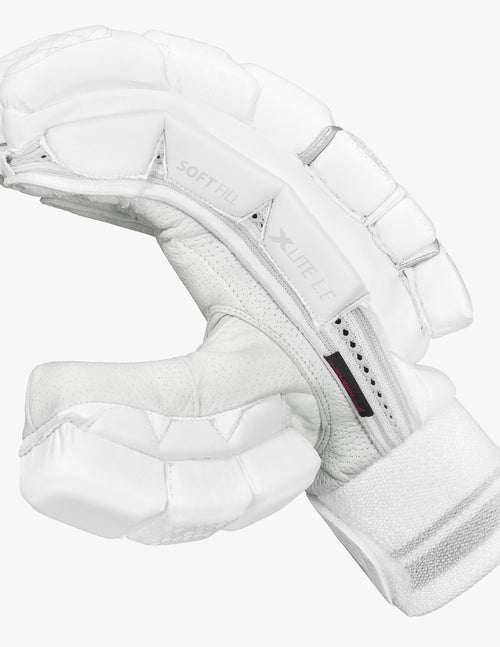 Load image into Gallery viewer, DSC Xlite L.E Batting Gloves New 2024
