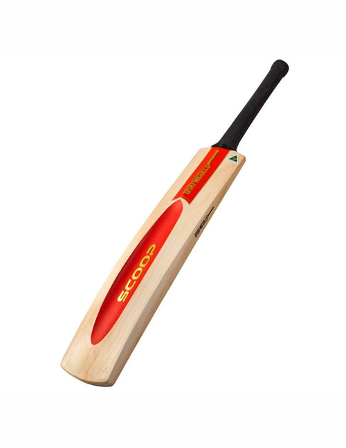 Load image into Gallery viewer, Gray Nicolls Scoop 5 Star Cricket Bat New 50th Anniversary
