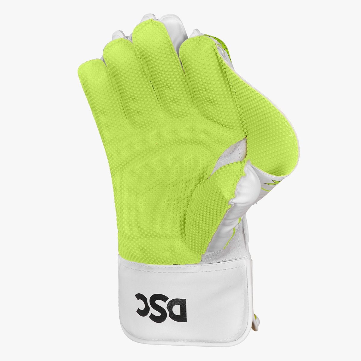 DSC Xlite 35 Wicket Keeping Gloves New 2024