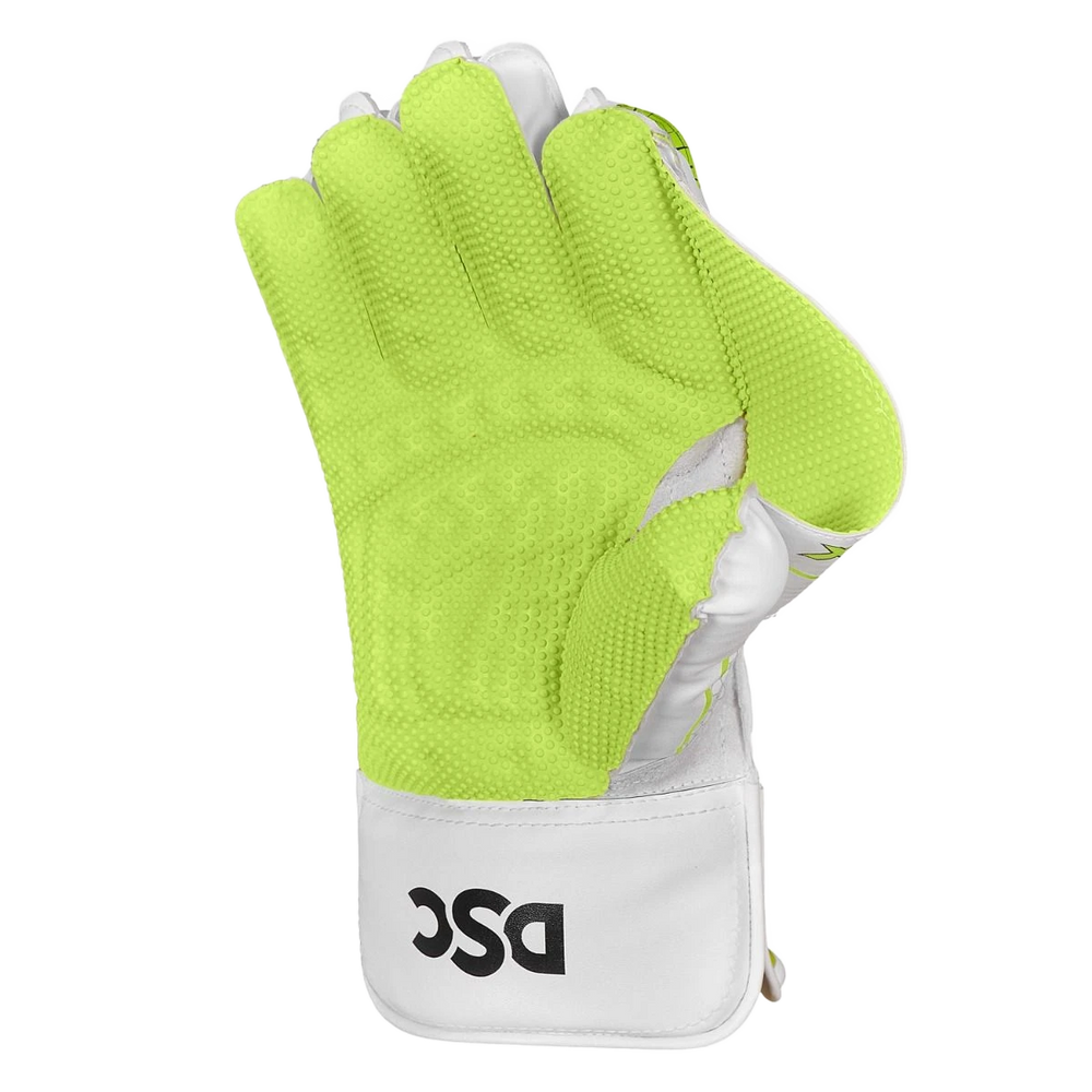 DSC Xlite 35 Wicket Keeping Gloves New 2025