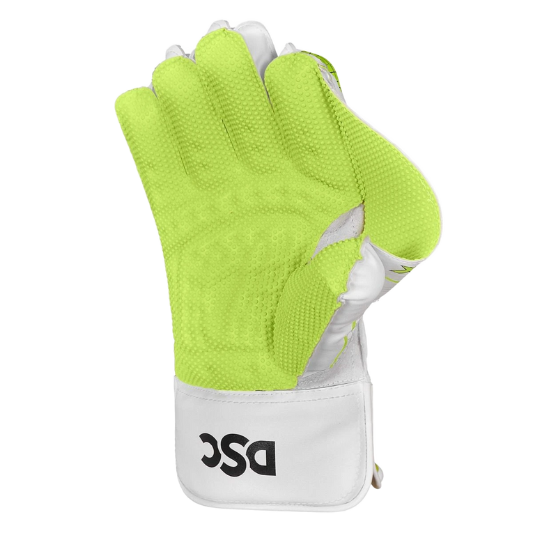 DSC Xlite 35 Wicket Keeping Gloves New 2025