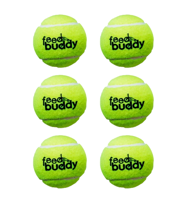 Feed Buddy Tennis Ball (Pack Of 6) (6788155310132)