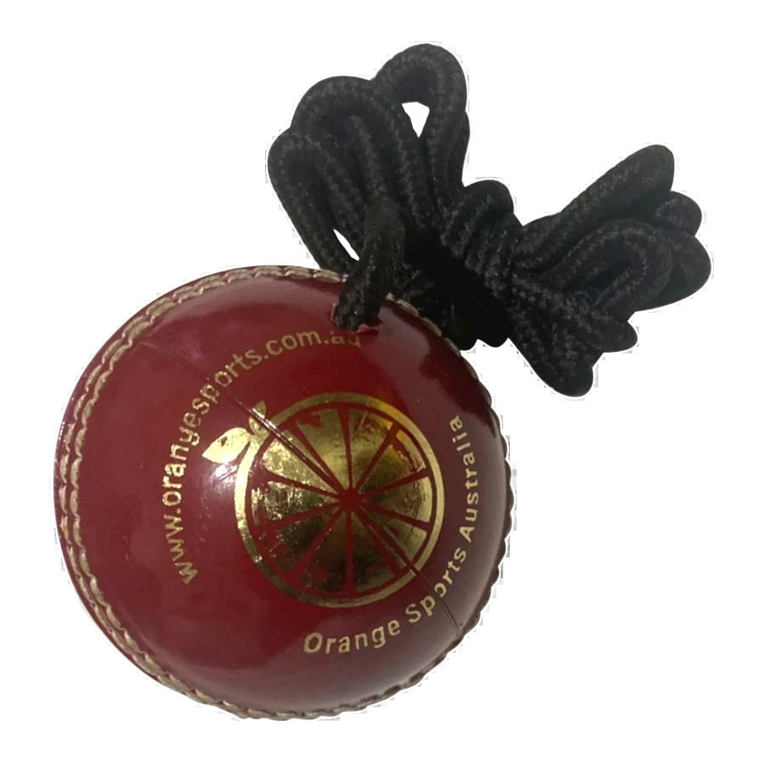 Hanging Training Cricket Ball Plastic (6789268111412)