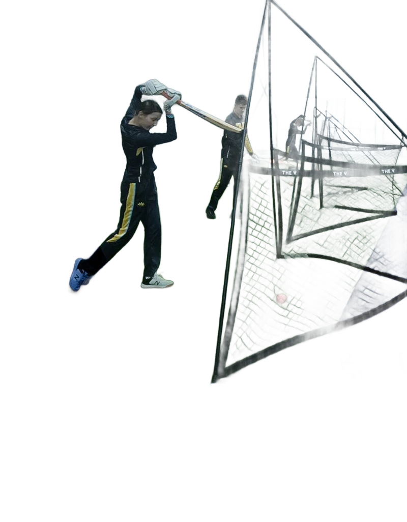 The V Pro Elite Cricket Training Net