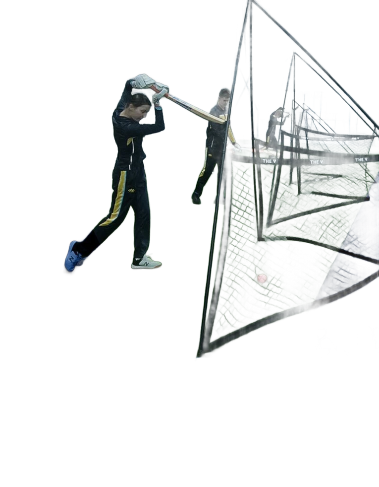 The V Pro Elite Cricket Training Net