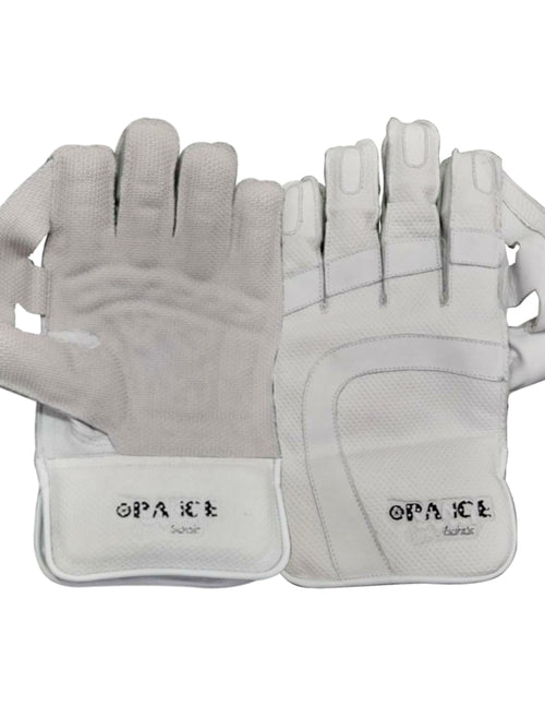 Load image into Gallery viewer, Players Super Soft Wicket Keeping Gloves (6784392134708)
