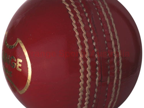 Load image into Gallery viewer, Cricket Fielding Training Ball (6789267423284)
