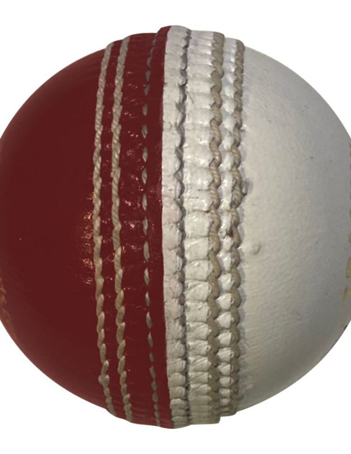 Load image into Gallery viewer, Red White Cricket Training Ball (6789272928308)
