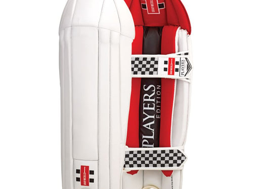 Load image into Gallery viewer, Gray Nicolls Players Edition Wicket Keeping Pads (6784470646836)
