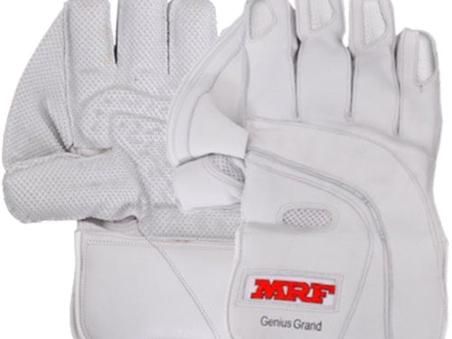 Load image into Gallery viewer, MRF Genius 1.0 Wicket Keeping Gloves (6784384892980)
