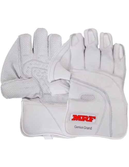 Load image into Gallery viewer, MRF Genius 1.0 Wicket Keeping Gloves (6784384892980)
