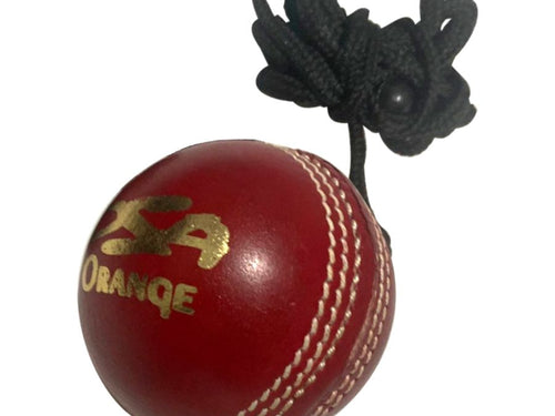 Load image into Gallery viewer, Leather Hanging Training Cricket Ball (6789269291060)
