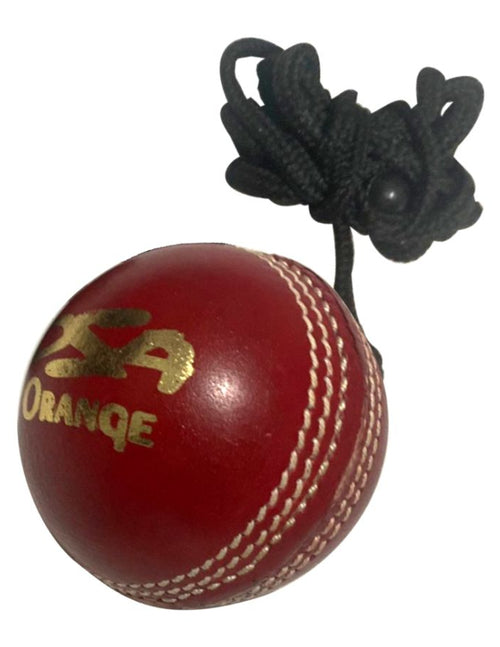 Load image into Gallery viewer, Leather Hanging Training Cricket Ball (6789269291060)
