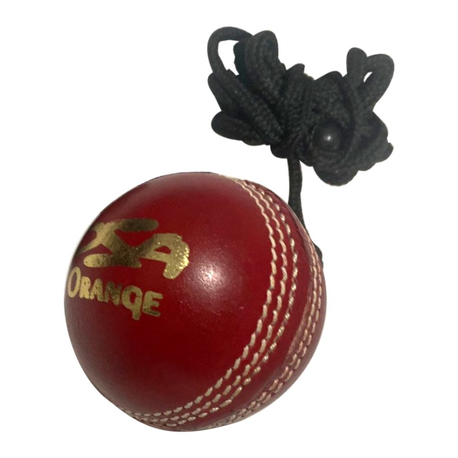 Leather Hanging Training Cricket Ball (6789269291060)