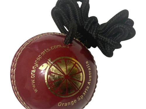 Load image into Gallery viewer, Hanging Training Cricket Ball Plastic (6789268111412)
