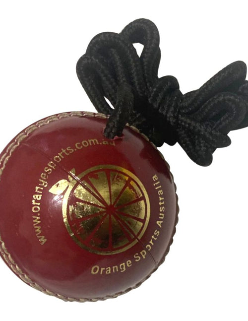 Load image into Gallery viewer, Hanging Training Cricket Ball Plastic (6789268111412)
