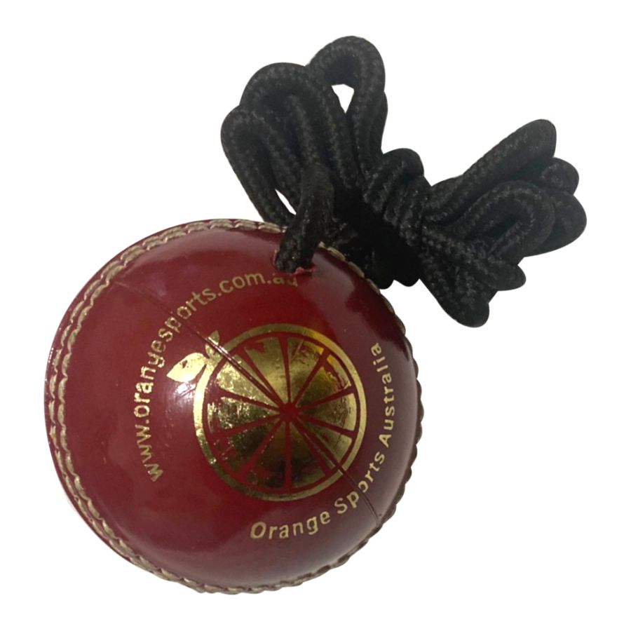 Hanging Training Cricket Ball Plastic (6789268111412)