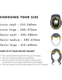 Masuri T Line Titanium Cricket Helmet
