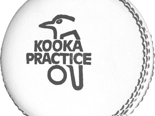 Load image into Gallery viewer, Kookaburra Practice Cricket Ball White (6789707989044)
