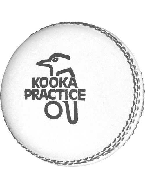 Load image into Gallery viewer, Kookaburra Practice Cricket Ball White (6789707989044)
