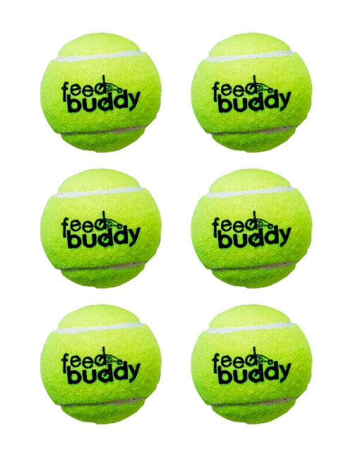 Load image into Gallery viewer, Feed Buddy Tennis Ball (Pack Of 6) (6788155310132)
