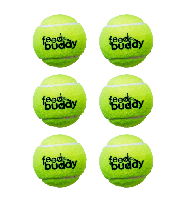 Feed Buddy Tennis Ball (Pack Of 6) (6788155310132)